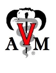 Texas A&M Meat Center Variety Beef Steak Box